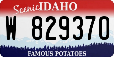 ID license plate W829370