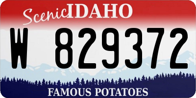 ID license plate W829372