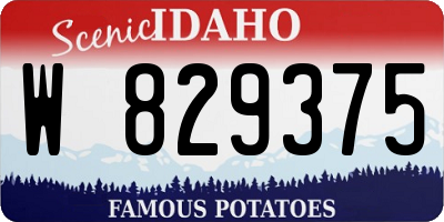 ID license plate W829375