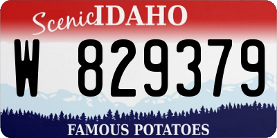 ID license plate W829379
