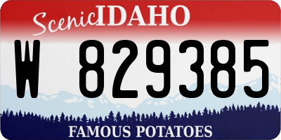 ID license plate W829385