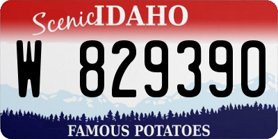 ID license plate W829390
