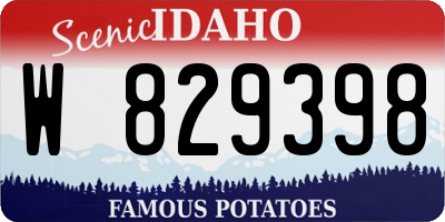 ID license plate W829398