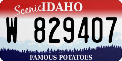 ID license plate W829407