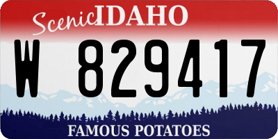 ID license plate W829417