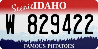ID license plate W829422