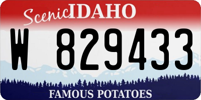 ID license plate W829433