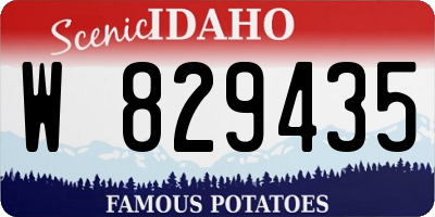 ID license plate W829435