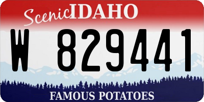 ID license plate W829441