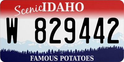 ID license plate W829442