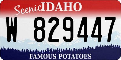 ID license plate W829447
