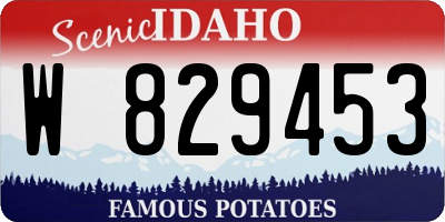 ID license plate W829453