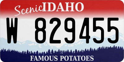 ID license plate W829455