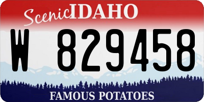 ID license plate W829458
