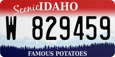 ID license plate W829459