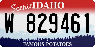 ID license plate W829461