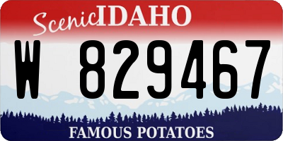 ID license plate W829467