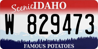 ID license plate W829473