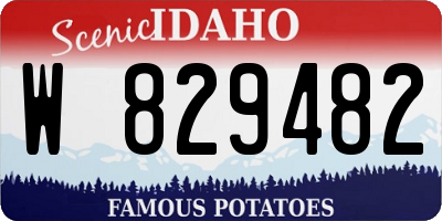 ID license plate W829482