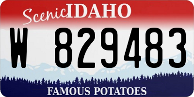 ID license plate W829483