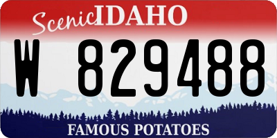 ID license plate W829488