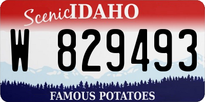 ID license plate W829493