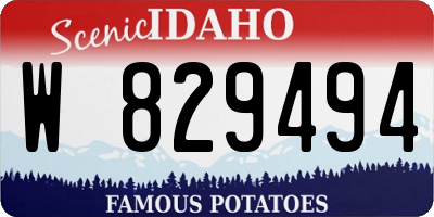ID license plate W829494