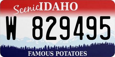ID license plate W829495