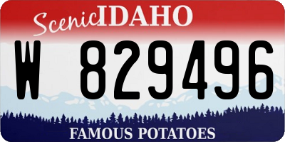 ID license plate W829496