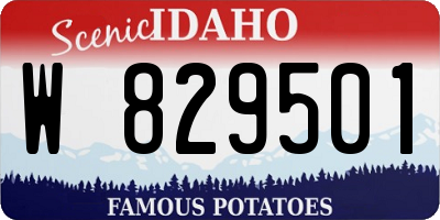 ID license plate W829501