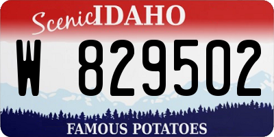 ID license plate W829502