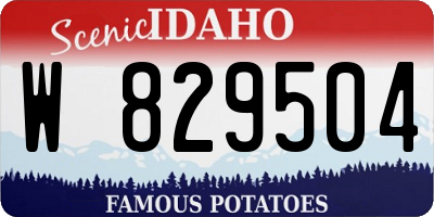 ID license plate W829504