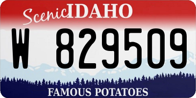 ID license plate W829509