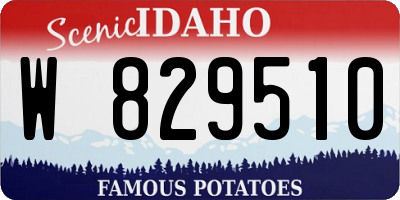 ID license plate W829510