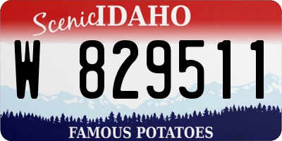 ID license plate W829511