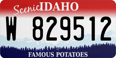 ID license plate W829512