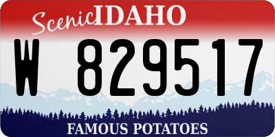 ID license plate W829517