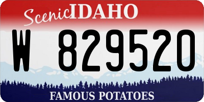 ID license plate W829520