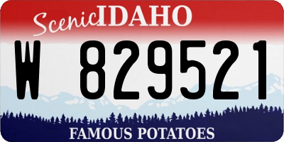 ID license plate W829521