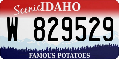 ID license plate W829529