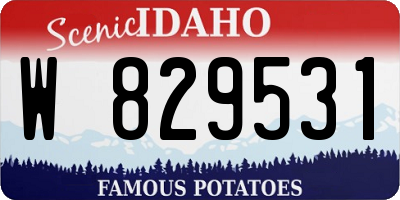 ID license plate W829531