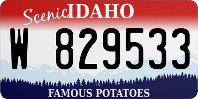 ID license plate W829533
