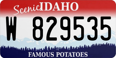 ID license plate W829535