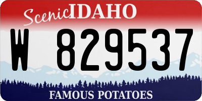 ID license plate W829537