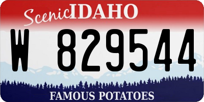 ID license plate W829544