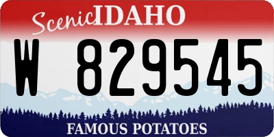 ID license plate W829545