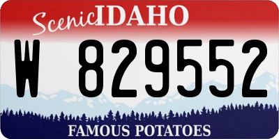 ID license plate W829552