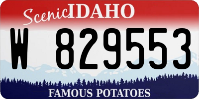 ID license plate W829553
