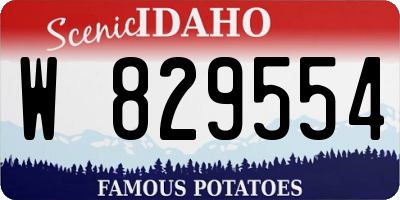 ID license plate W829554