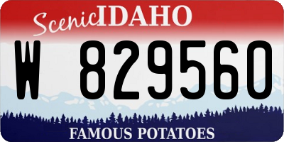 ID license plate W829560